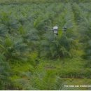 동남농장 이미지