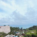 포토덤프] 엄빠랑 제주도 2주 살기 추억 덤프 : 6일차(ft. 세화해변 돌고래 롯데호텔제주 그리고 흑우)