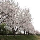 경안천습지생태공원 이미지