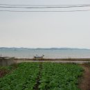 간월민박 이미지