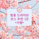 가평 벚꽃 드라이브 코스 BEST 3
