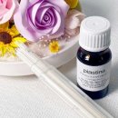 티나코리아 이미지