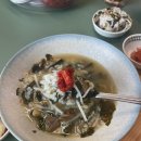 오향세탁소 | 울산 태화동 태화강국가정원 맛집 훈이식당