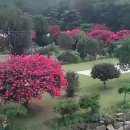 개비리길 펜션 이미지