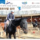 초원을 달리자 이미지