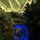 원종어린이공원 | 부천 수피아 야간개장 예약 경기도 식물원 가족나들이