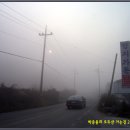 일산1리 이미지