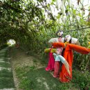 꼬꼬체험장 이미지