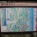 불루민박 이미지