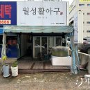 월성활아구 이미지
