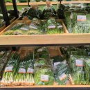 와부농업협동조합 하나로마트 이미지