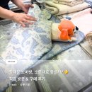 유명한 동대문 꼬마방 소문대로 좋을까? 내돈내산 구매 후기