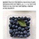 팔복분식 네이버블로그