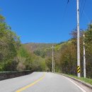 운탄고도 5-9길 라이딩 후기 이미지