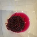 대광식당 이미지