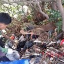 효돈동-6 이미지