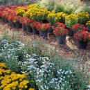 영천댐식당 이미지