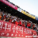 태극