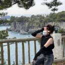 허니문식당&슈퍼 | [탐방일지] 제주도 서귀포 카페 허니문하우스 / 수리남 촬영지 / 애견동반가능 / 내돈내산 솔직후기