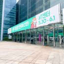 궁디팡팡 캣페스타 서울 2025 | 양재 궁팡 페스티벌 후기