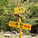 비수구미펜션 이미지