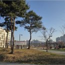 대광풍수부동산중개 | 안전하고 신뢰할 수 있는 용인둔전역에피트 부동산 거래와 후기