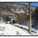 소신흑염소 이미지