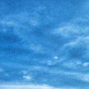 성균관대학교 경영(전문)대학원 이미지