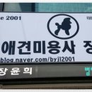 애견미용사 장윤희 이미지