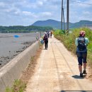 서해랑길 41코스 이미지