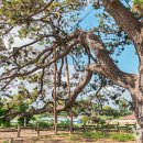 무안군 관광안내소 이미지