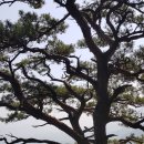 화북초교 이미지