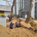 여주(인천) 이미지