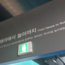 판타지아트뮤지엄