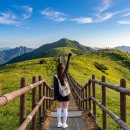 소백산산사과 | 소백산 최단코스 꿀팁 ⛰️