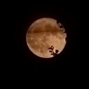 말머리공원 이미지