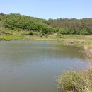 양촌소류지 이미지