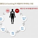 셀네트