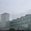 마이다스호텔앤리조트 | [경기도 | 가평] 마이다스호텔앤리조트_내돈내산 프리미엄 듀플렉스 룸컨디션 디오니소스 레스토랑...