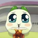 숲속쉼터 이미지