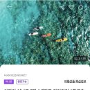 달빛네일살롱