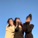 청춘 이미지