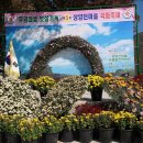 충도3리(상양) 이미지