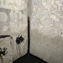 선광로즈웰A 이미지