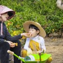 구씨네 이미지