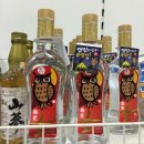술이땡기는밤