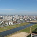 대전 중구 태평동 동양파라곤 아파트 이미지