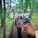 초지약국 | 몽골여행 고비사막 투어 | 테를지에서 승마를 추천하는 이유, 마유주 시식을 비추하는 이유