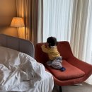 표선 사계절노래연습장 | 제주 해비치호텔 아기랑 2박 키즈카페 수영장 공연 후기