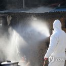 천하동물약품 연합뉴스
